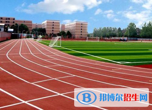 成都艺术职业学院招生代码