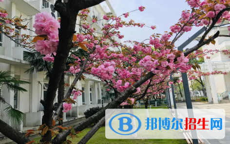 南京师范大学附属实验学校国际部2020年招生计划