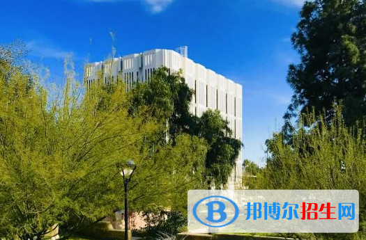 上海金苹果双语学校国际部2023年报名条件、招生要求、招生对象