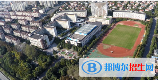 上海金苹果双语学校国际部怎么样、好不好