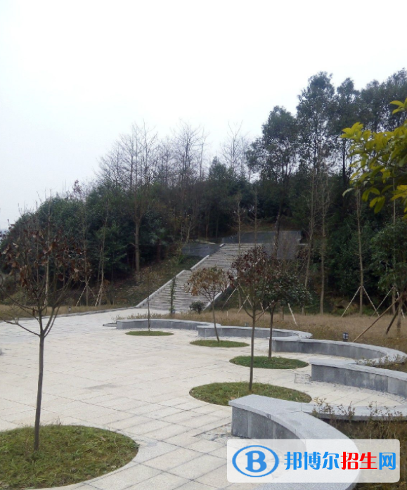 QQ截图20200326145208