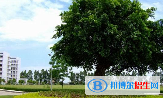 广东女子职业技术学院2020年报名条件、招生要求、招生对象