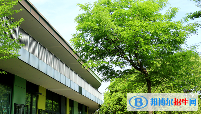 杭州育澜剑桥国际中心2020年招生计划