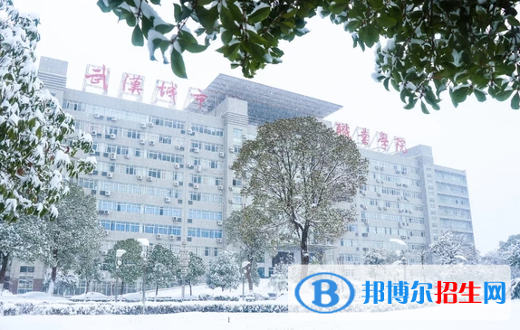 武汉城市职业学院7