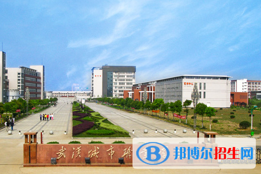 武汉城市职业学院5