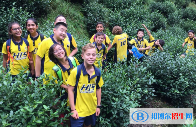 杭州国际学校网站网址