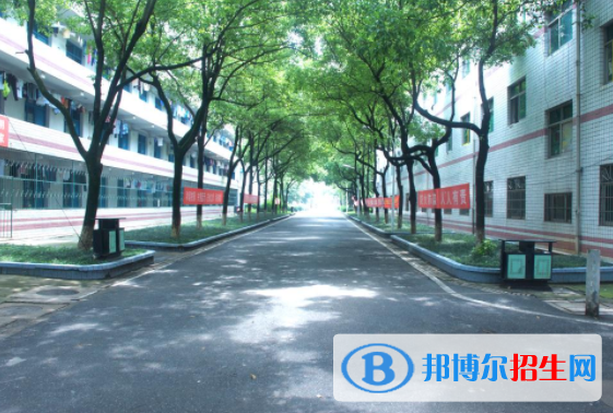 QQ截图20200331134516