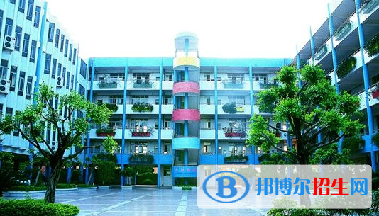 广东碧桂园(IB国际)学校网站网址