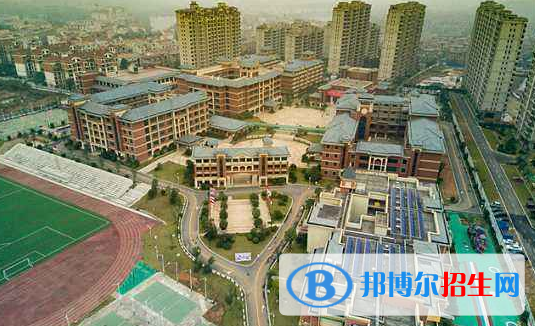 广东碧桂园(IB国际)学校怎么样、好不好