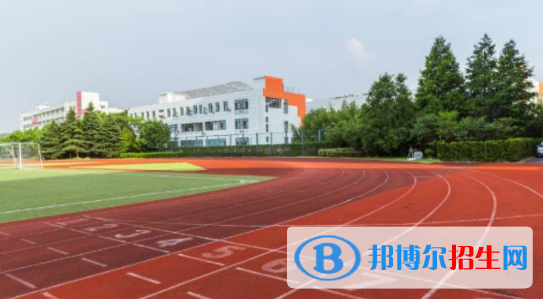 深圳青之藤国际学校2023年招生计划
