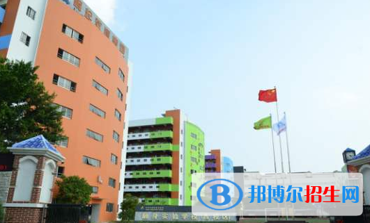 深圳青之藤国际学校网站网址