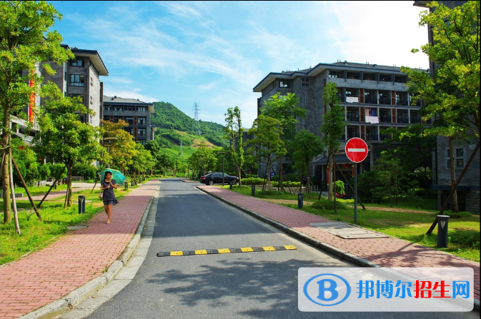 杭州科技职业技术学院2020年有哪些专业