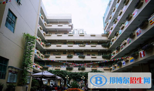 深圳国际交流学院网站网址
