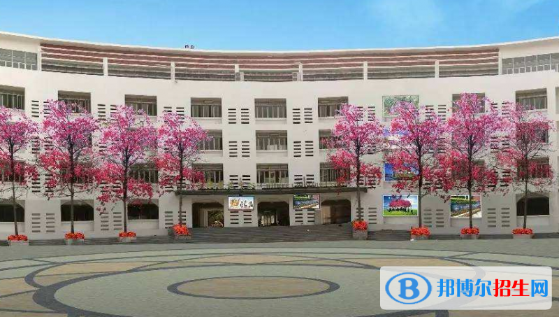 深圳桃源居中澳实验学校地址在哪里