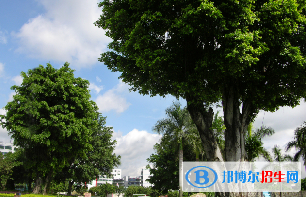 深圳石岩公学国际部高中地址在哪里