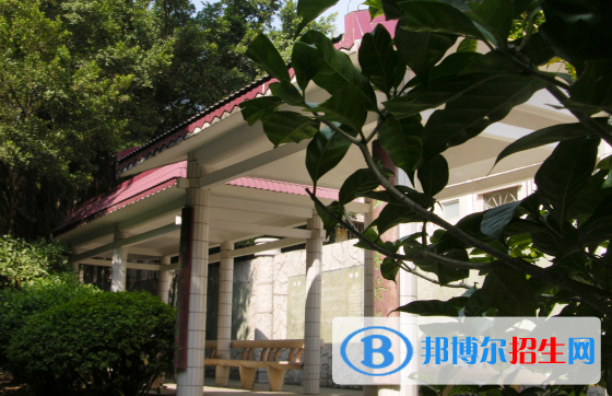 深圳石岩公学国际部高中网站网址