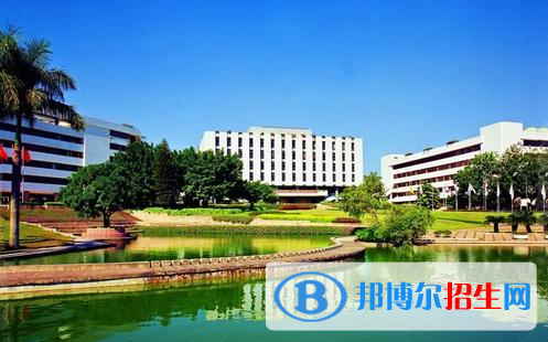 深大留服橘郡美高2020年招生办联系电话