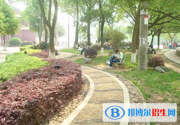 QQ截图20200410135741