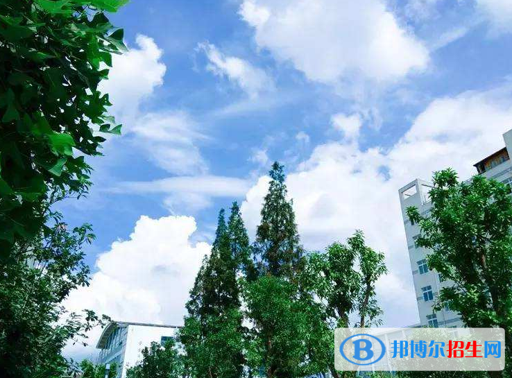 温州科技职业学院是几专