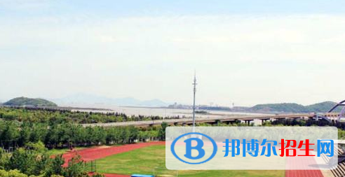 浙江国际海运职业技术学院2020年有哪些专业