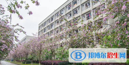 柳州2020年有哪些大专学校有铁路学校专业