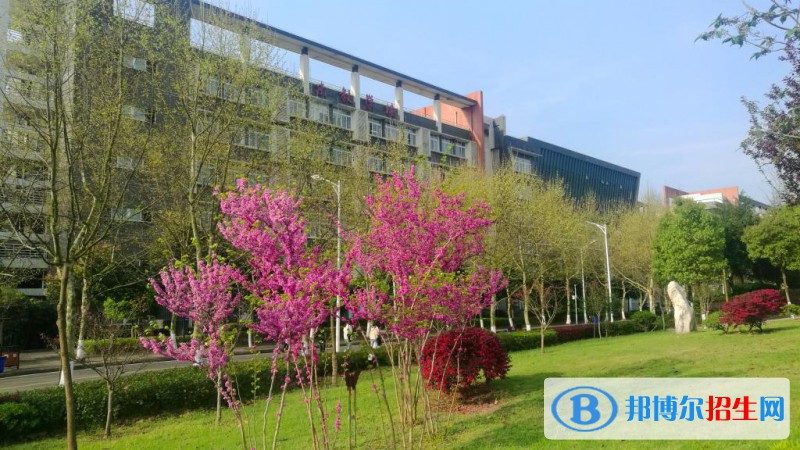 重庆医药高等专科学校网站网址