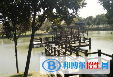 詹尼森公立高中(上海)中心网站网址
