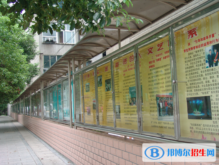 QQ截图20200427152524