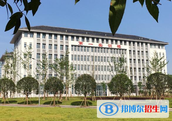 重庆化工职业学院2020年有哪些专业