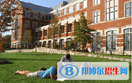 斯代文森国际学校(中国-上海)怎么样、好不好