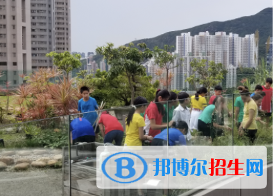 香港加拿大国际学校初中部地址在哪里