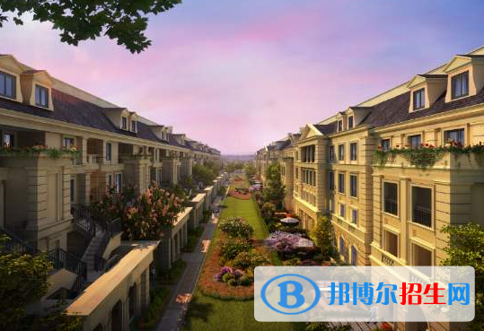 愉景湾国际学校初中部网站网址