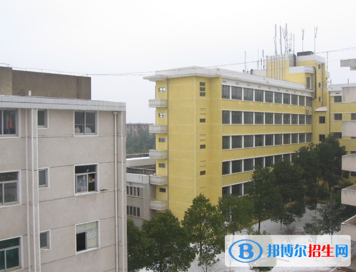QQ截图20200509152443