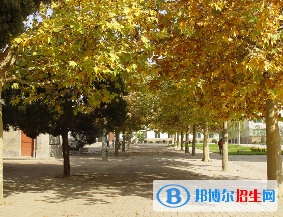  宝鸡姜城中学2020年招生办联系电话
