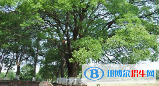 江西青年职业学院2020年招生办联系电话