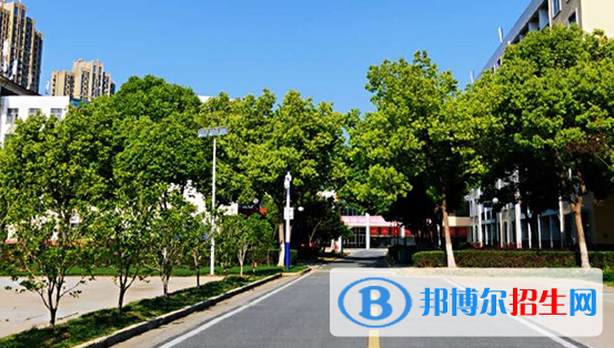 合肥飞跃学校地址在哪里