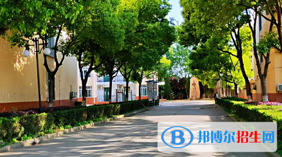 合肥飞跃学校网站网址 