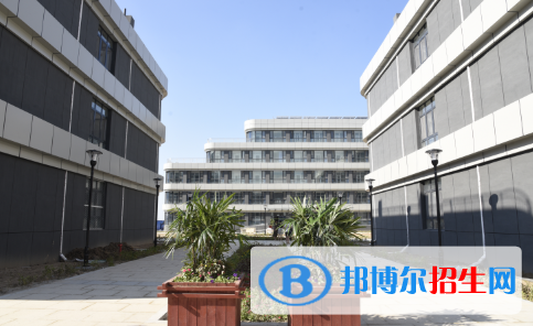潍坊滨海国际学校初中部2020年招生简章