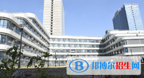 潍坊滨海国际学校初中部2020年学费、收费多少