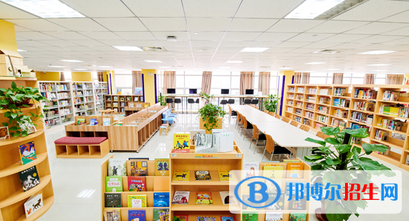 合肥高新中加学校初中部网站网址