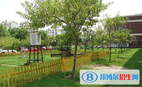 苏州外国语学校初中部地址在哪里