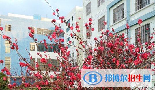 巢湖市翰文学校怎么样、好不好