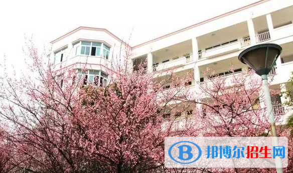 张家港外国语学校初中部2020年招生简章