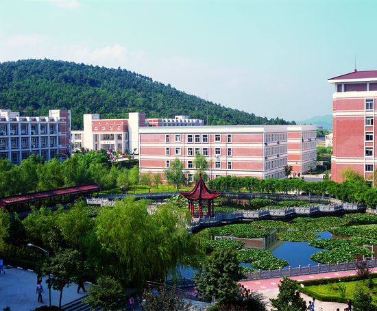 金肯职业技术学院2020年招生代码