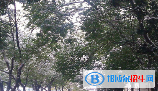 安徽警官职业学院网站网址