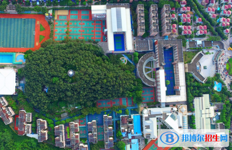 广东碧桂园(IB国际)学校初中部网站网址
