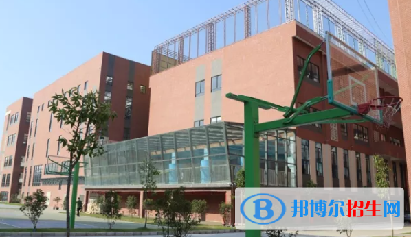 佛山协同国际学校2020年招生简章