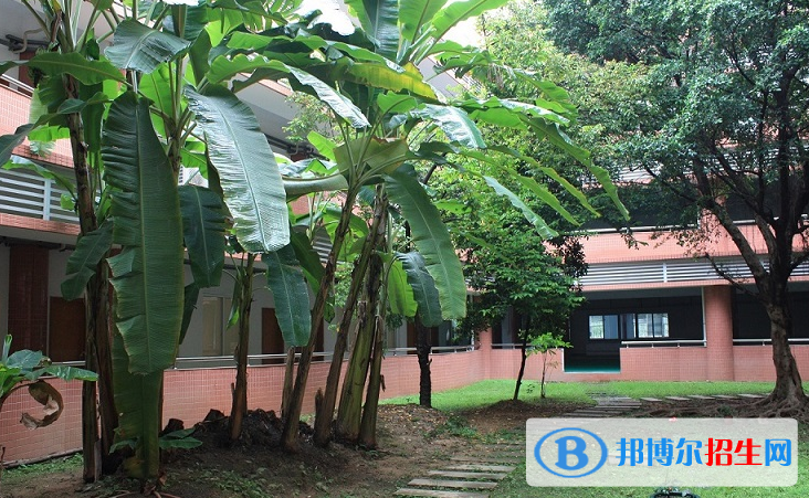 广东日本人学校初中部2020年学费、收费多少