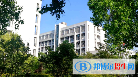 合肥科技职业学院2020年招生代码