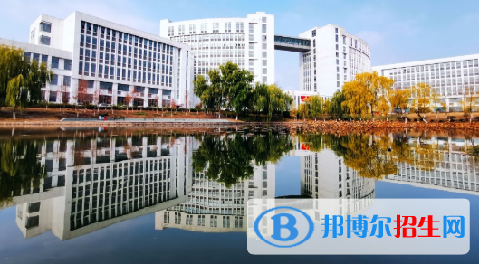 合肥科技职业学院2020年招生办联系电话